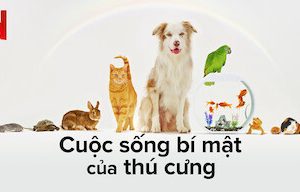 Cuộc Sống Bí Mật Của Thú Cưng